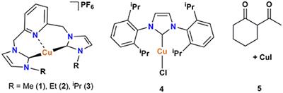 C−X (X = N, O) Cross-Coupling Reactions Catalyzed by Copper-Pincer Bis(N-Heterocyclic Carbene) Complexes
